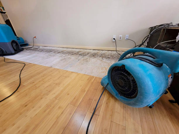 Professional Flood Damage Cleanup technician working in Hawarden, IA